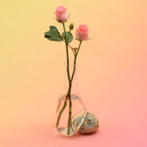 Beautiful Vase on Pebble BU-S138