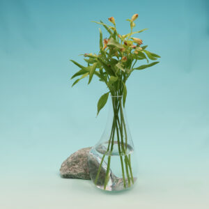 Beautiful Vase on Green Strawberry Stone GE-L228