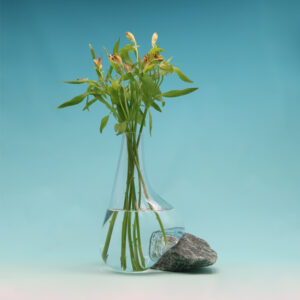 Beautiful Vase on Green Strawberry Stone GE-L368