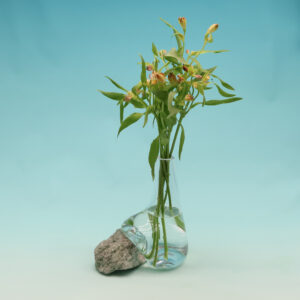 Beautiful Vase on Greentranslucent Limestone GE-M238