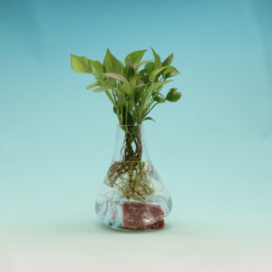 Beautiful Vase on Agate RD-S128