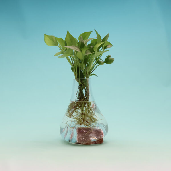 Beautiful Vase on Agate RD-S128
