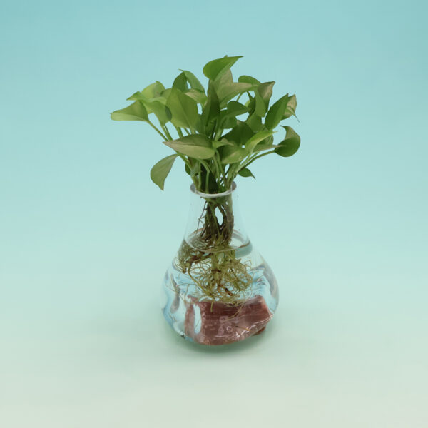 Beautiful Vase on Agate RD-S128 - Image 2
