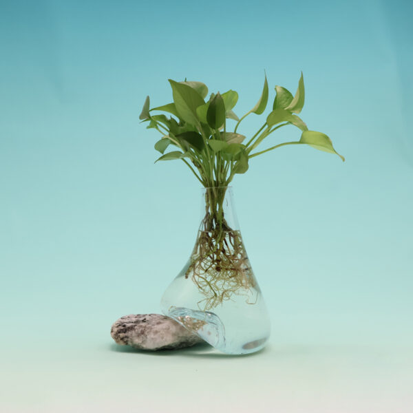 Beautiful Vase on Moonstone WB-S368