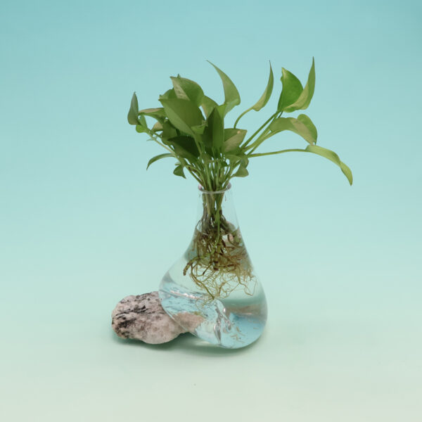 Beautiful Vase on Moonstone WB-S368 - Image 2
