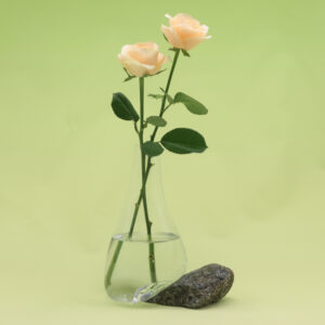 Beautiful Vase on Limestone BN-M138