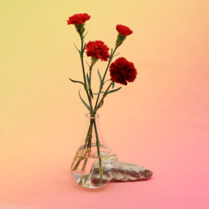 Beautiful Vase on Limestone BN-M168